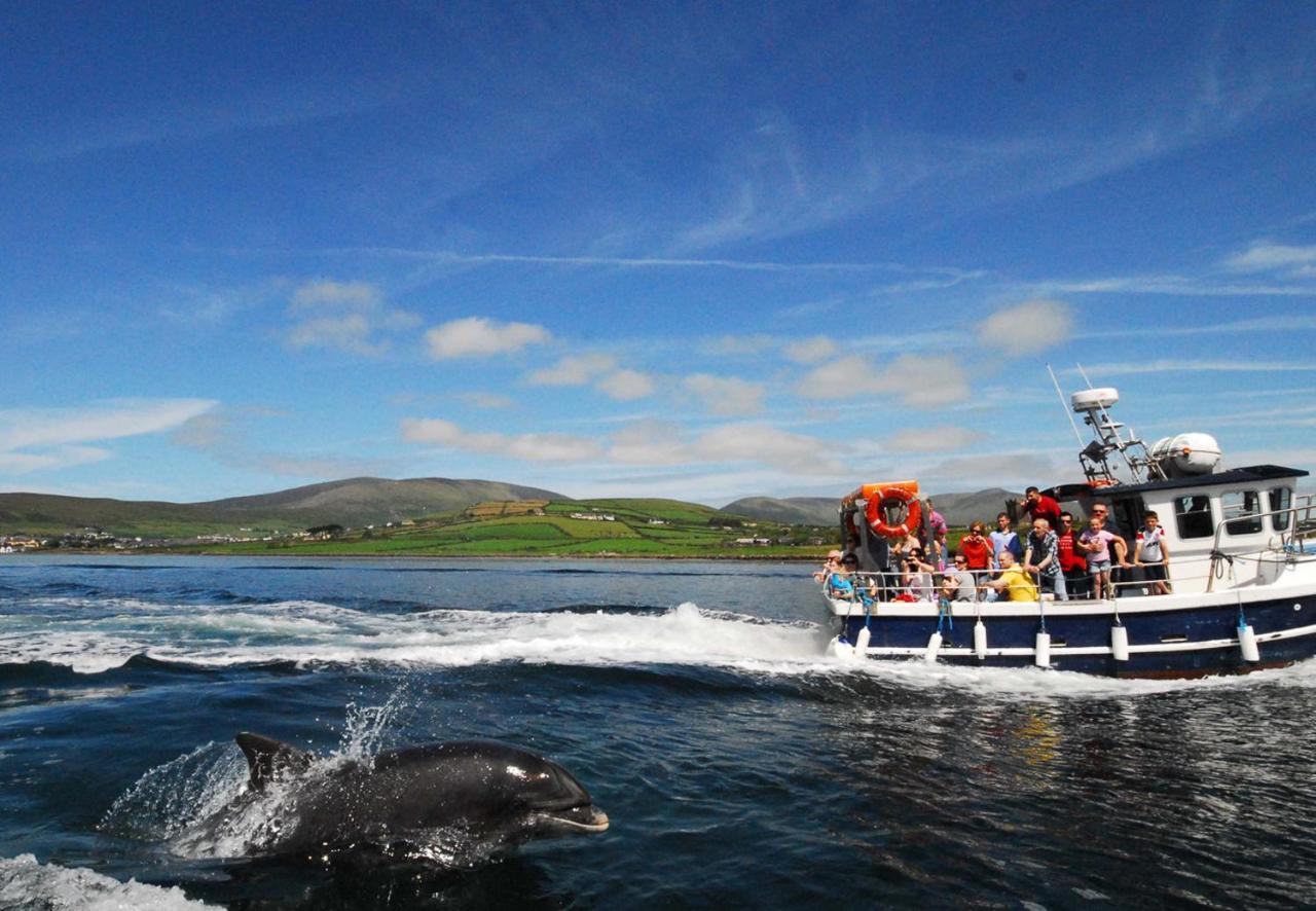 Dingle Harbour Cottages 3 Bed Sleeps 7 By Trident Holiday Homes Экстерьер фото