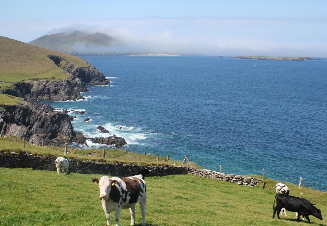 Dingle Harbour Cottages 3 Bed Sleeps 7 By Trident Holiday Homes Экстерьер фото